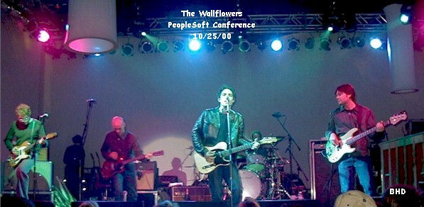 The Wallflowers