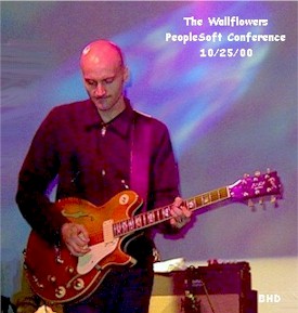 The Wallflowers, Guitar.