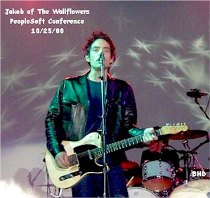 The Wallfloweres, Jakob Dylan